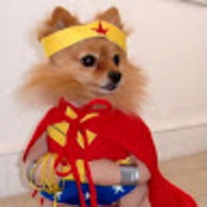 Meet your Posher, Diane